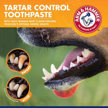 for Pets Tartar Control Kit for Dogs | Contains Toothpaste, Toothbrush & Fingerbrush | Reduces Plaque & Tartar Buildup, 3-Piece Kit, Banana Mint Flavor