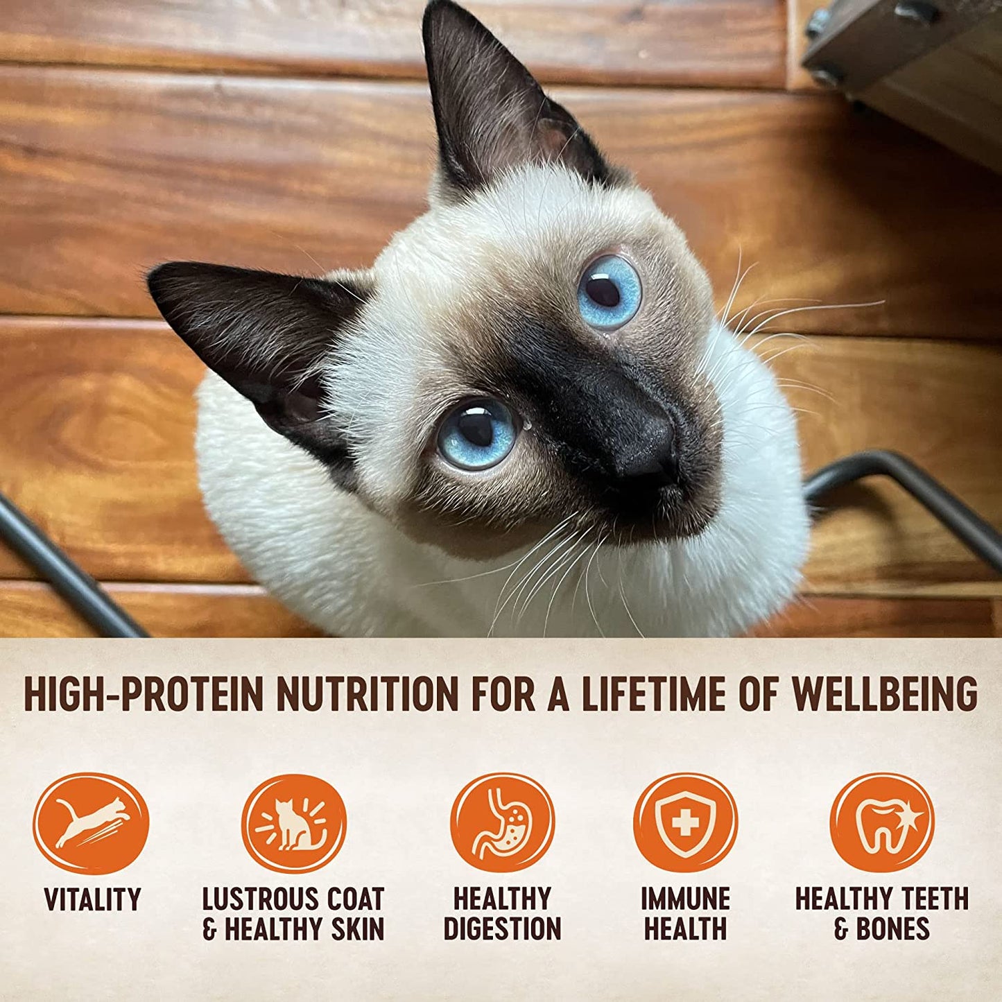 Wellness CORE Grain-Free Signature Selects Wet Cat Food, Natural Pet Food Made with Real Meat (Shredded Chicken & Chicken Liver, 5.3 Ounces, Pack of 12)