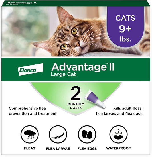 II Large Cat Vet-Recommended Flea Treatment & Prevention