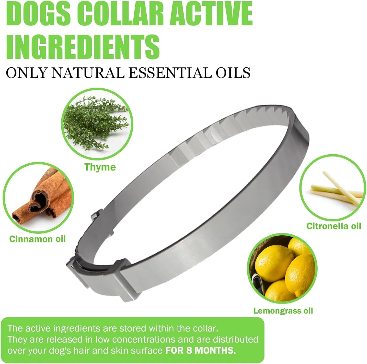 Flea Collar for Dogs, Dog Flea Collar 8 Months Protection, Flea and Tick Collar for Dogs Small to Large Size, Flea Prevention for Dogs 2 Pack with Comb and Prevention Treatment Drop