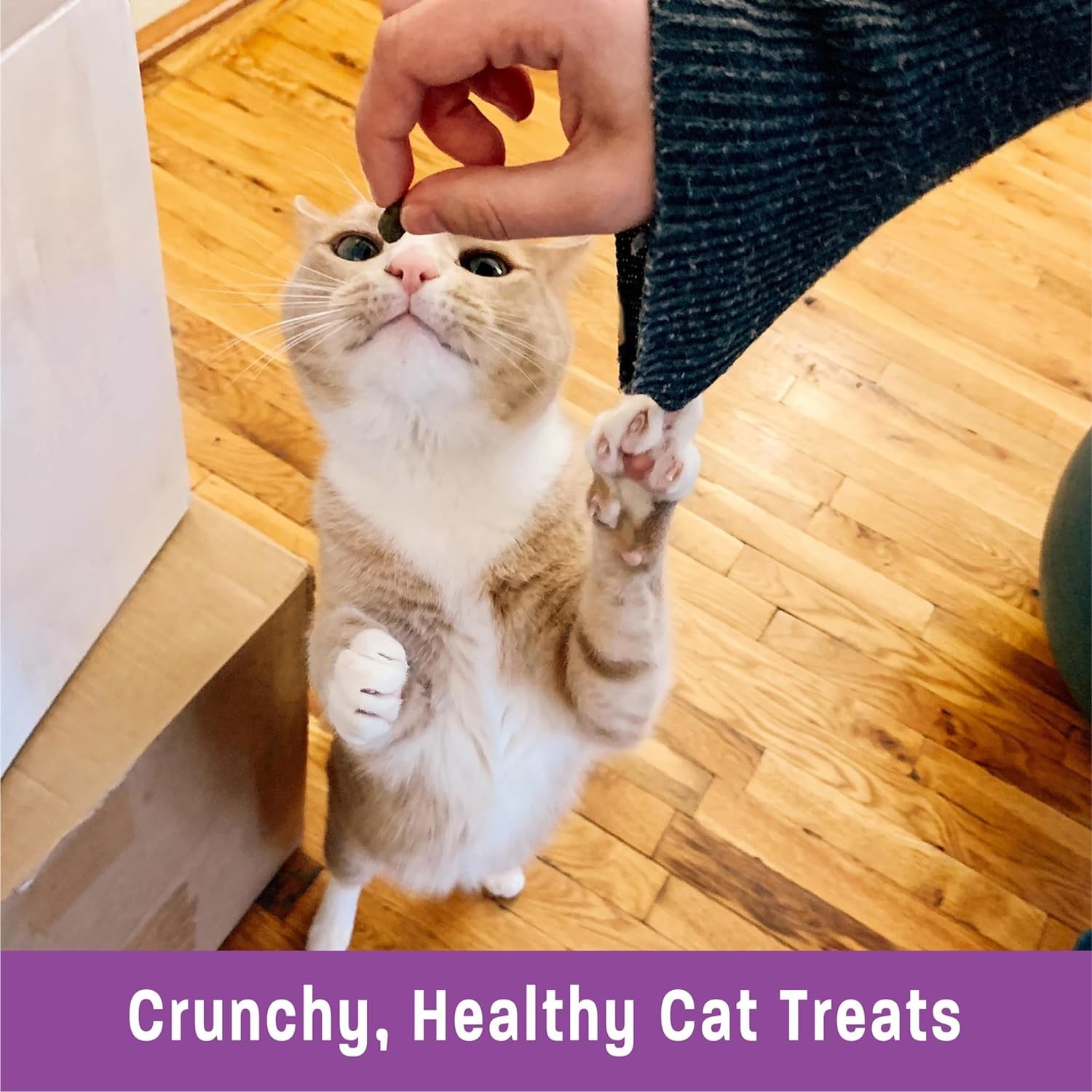 Wellness Kittles Crunchy Natural Grain Free Cat Treats, Chicken & Cranberry, 2-Ounce Bag