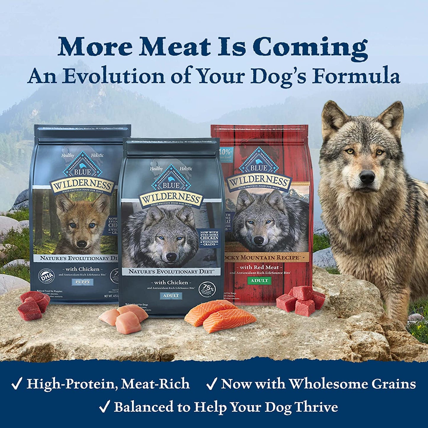 High Protein, Natural Adult Dry Dog Food